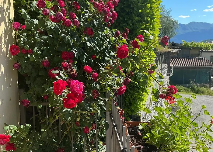 Panoramica Di דירה Colonno