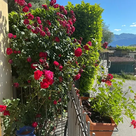 Panoramica Di 公寓 Colonno
